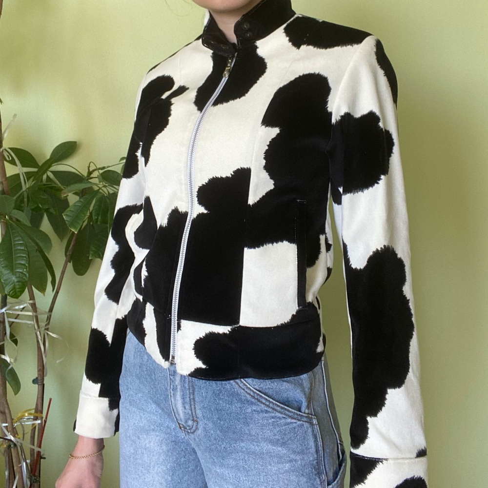 Jacket - Picture 2 of 5